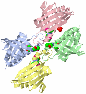 Image Biological Unit 5