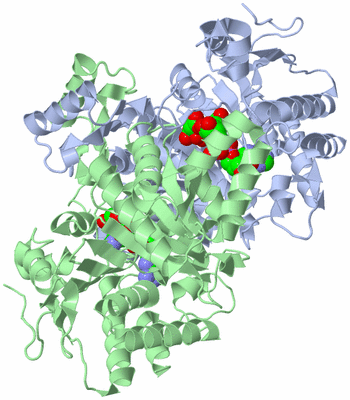 Image Biological Unit 1