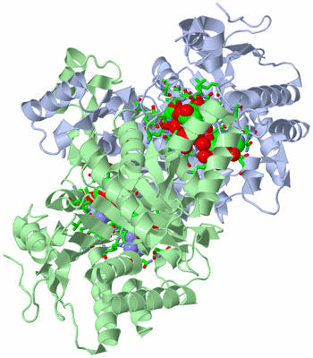 Image Biol. Unit 1 - sites