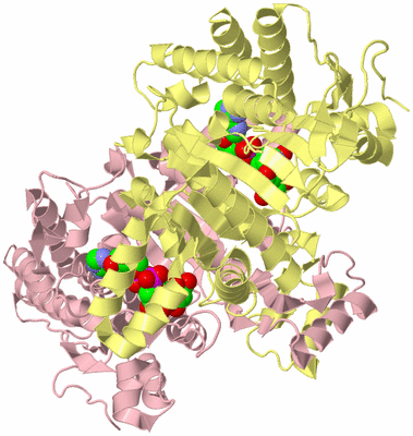 Image Biological Unit 2