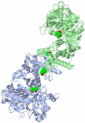 Image Asym./Biol. Unit