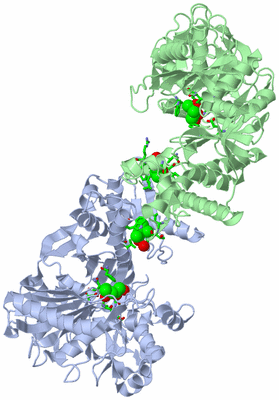 Image Asym./Biol. Unit - sites