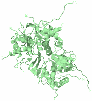 Image Biological Unit 2