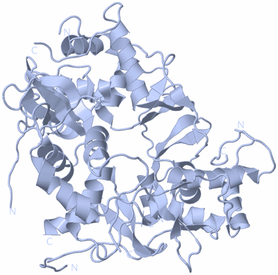 Image Biological Unit 3