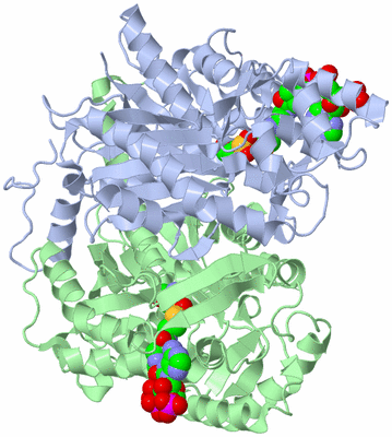 Image Asym./Biol. Unit