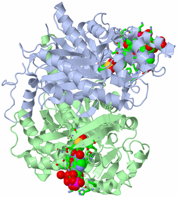 Image Asym./Biol. Unit - sites