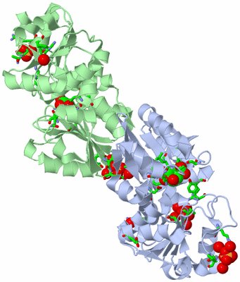 Image Asym./Biol. Unit - sites