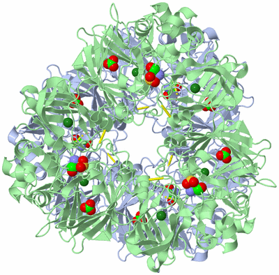 Image Biological Unit 1