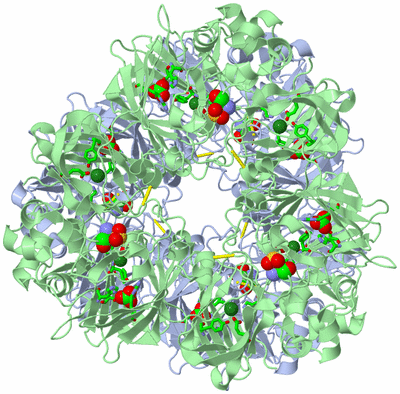 Image Biol. Unit 1 - sites