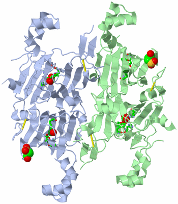 Image Asym. Unit - sites