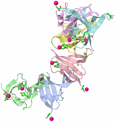 Image Asym. Unit - sites