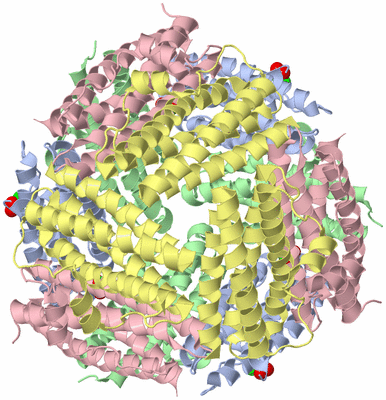 Image Biological Unit 1