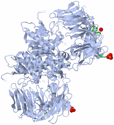 Image Biol. Unit 1 - sites