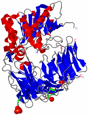 Image Asym. Unit - sites