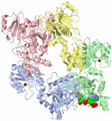 Image Asym./Biol. Unit