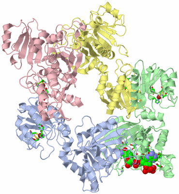 Image Asym./Biol. Unit - sites