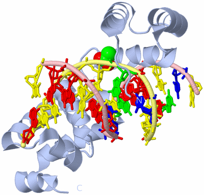 Image Biological Unit 1
