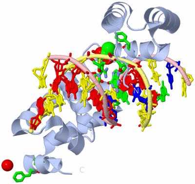 Image Biol. Unit 1 - sites