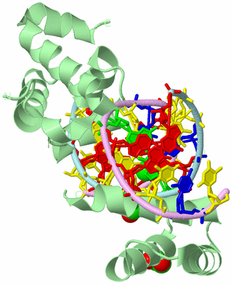 Image Biological Unit 2