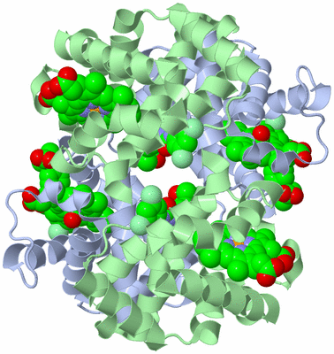 Image Biological Unit 1