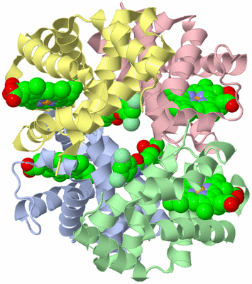 Image Asym./Biol. Unit