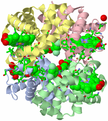 Image Asym./Biol. Unit - sites