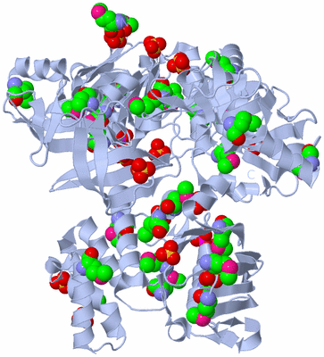 Image Biological Unit 1