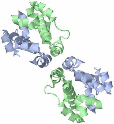 Image Biological Unit 2