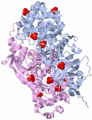 Image Biological Unit 2