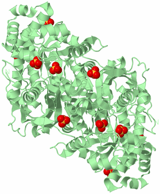 Image Biological Unit 3