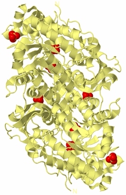 Image Biological Unit 4