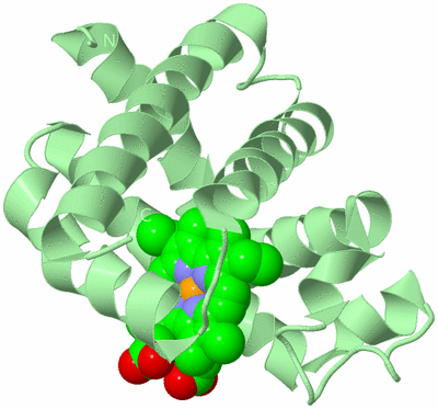 Image Biological Unit 2