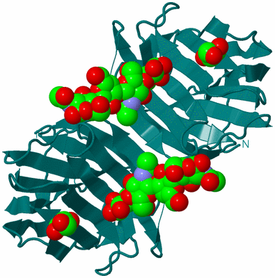 Image Biological Unit 1