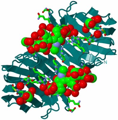 Image Biol. Unit 1 - sites