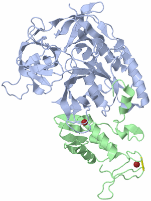 Image Asym./Biol. Unit