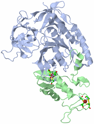 Image Asym./Biol. Unit - sites