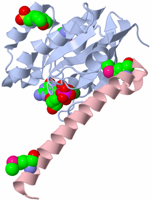 Image Biological Unit 1