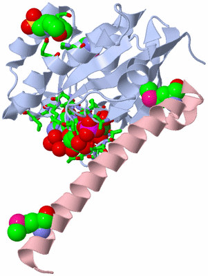 Image Biol. Unit 1 - sites