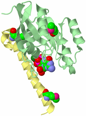 Image Biological Unit 2