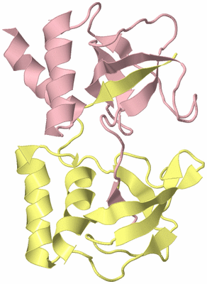 Image Biological Unit 2