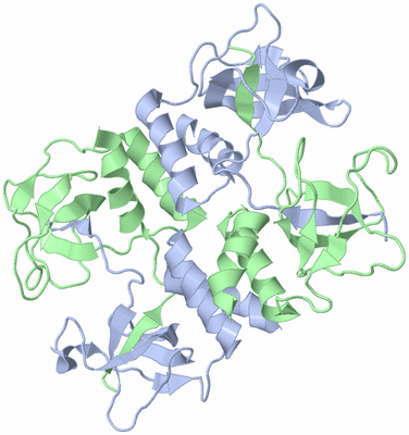 Image Biological Unit 3