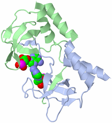 Image Biological Unit 1