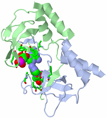 Image Biol. Unit 1 - sites