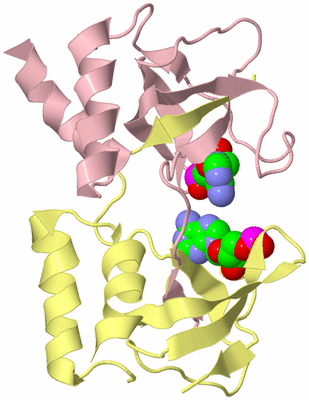 Image Biological Unit 2