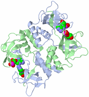 Image Biological Unit 3