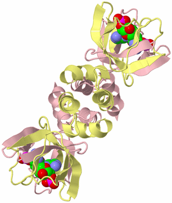 Image Biological Unit 4