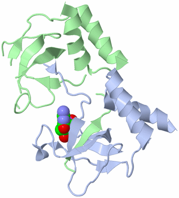 Image Biological Unit 1