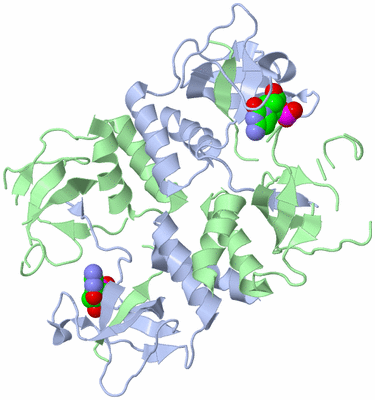 Image Biological Unit 3