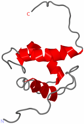 Image NMR Structure - model 1