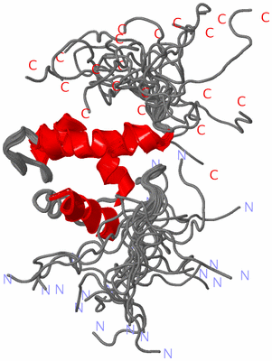 Image NMR Structure - all models